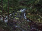 2008_10_30_Mult_Falls_12mi_Oly_0175