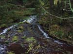 2008_10_30_Mult_Falls_12mi_Oly_0176