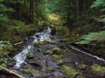 2008_10_30_Mult_Falls_12mi_Oly_0177