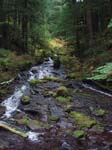 2008_10_30_Mult_Falls_12mi_Oly_0178