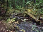 2008_10_30_Mult_Falls_12mi_Oly_0179