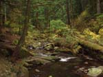 2008_10_30_Mult_Falls_12mi_Oly_0181