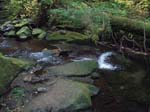 2008_10_30_Mult_Falls_12mi_Oly_0183