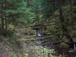 2008_10_30_Mult_Falls_12mi_Oly_0184