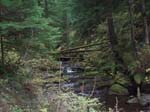 2008_10_30_Mult_Falls_12mi_Oly_0185