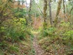 2008_10_30_Mult_Falls_12mi_Oly_0187
