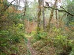 2008_10_30_Mult_Falls_12mi_Oly_0188