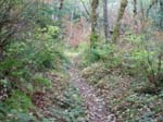 2008_10_30_Mult_Falls_12mi_Oly_0189