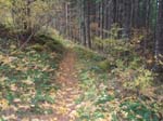 2008_10_30_Mult_Falls_12mi_Oly_0199