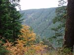 2008_10_30_Mult_Falls_12mi_Oly_0200