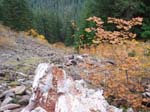 2008_10_30_Mult_Falls_12mi_Oly_0202
