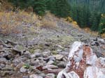 2008_10_30_Mult_Falls_12mi_Oly_0204