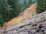 2008_10_30_Mult_Falls_12mi_Oly_0206