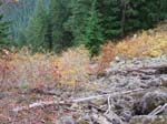 2008_10_30_Mult_Falls_12mi_Oly_0207