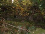 2008_10_30_Mult_Falls_12mi_Oly_0208