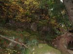 2008_10_30_Mult_Falls_12mi_Oly_0209