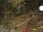 2008_10_30_Mult_Falls_12mi_Oly_0210