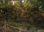 2008_10_30_Mult_Falls_12mi_Oly_0211