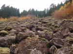 2008_10_30_Mult_Falls_12mi_Oly_0213