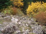 2008_10_30_Mult_Falls_12mi_Oly_0214