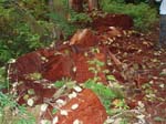 2008_10_30_Mult_Falls_12mi_Oly_0216