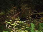 2008_10_30_Mult_Falls_12mi_Oly_0224