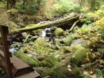 2008_10_30_Mult_Falls_12mi_Oly_0228