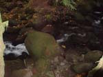 2008_10_30_Mult_Falls_12mi_Oly_0231
