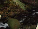 2008_10_30_Mult_Falls_12mi_Oly_0232