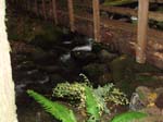 2008_10_30_Mult_Falls_12mi_Oly_0233