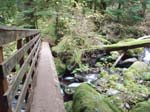 2008_10_30_Mult_Falls_12mi_Oly_0236