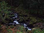 2008_10_30_Mult_Falls_12mi_Oly_0243