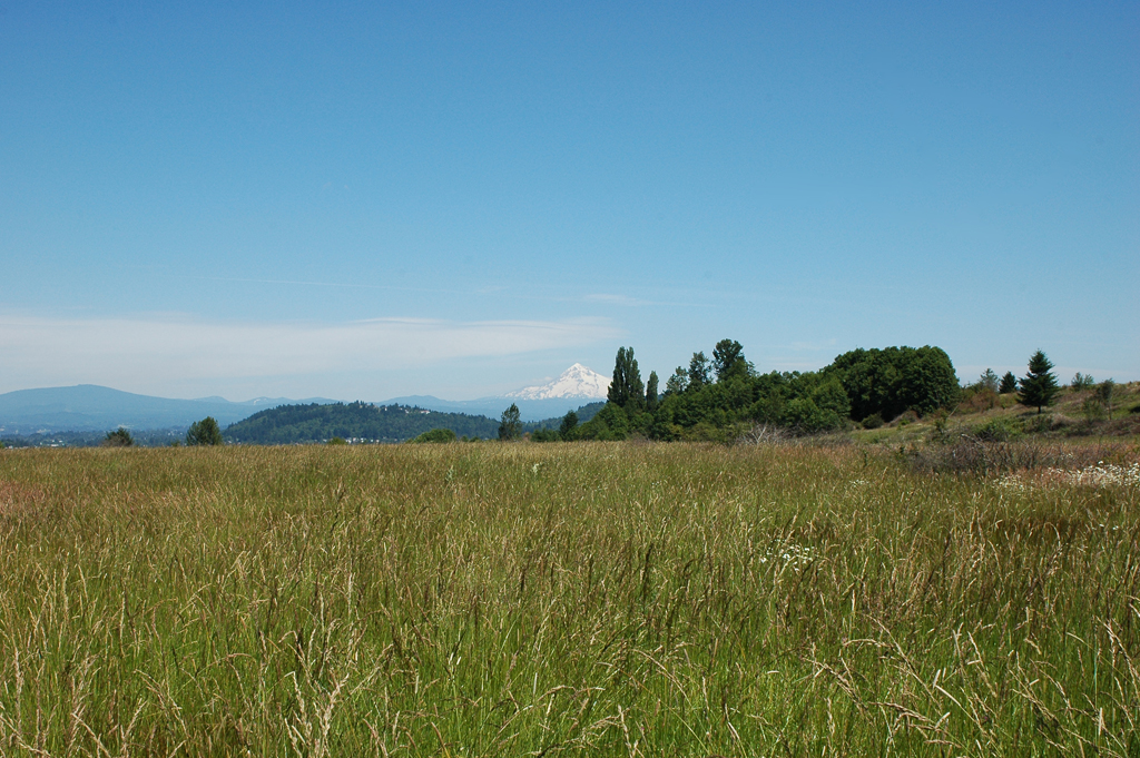 2008_June_Powell_Butte_0298