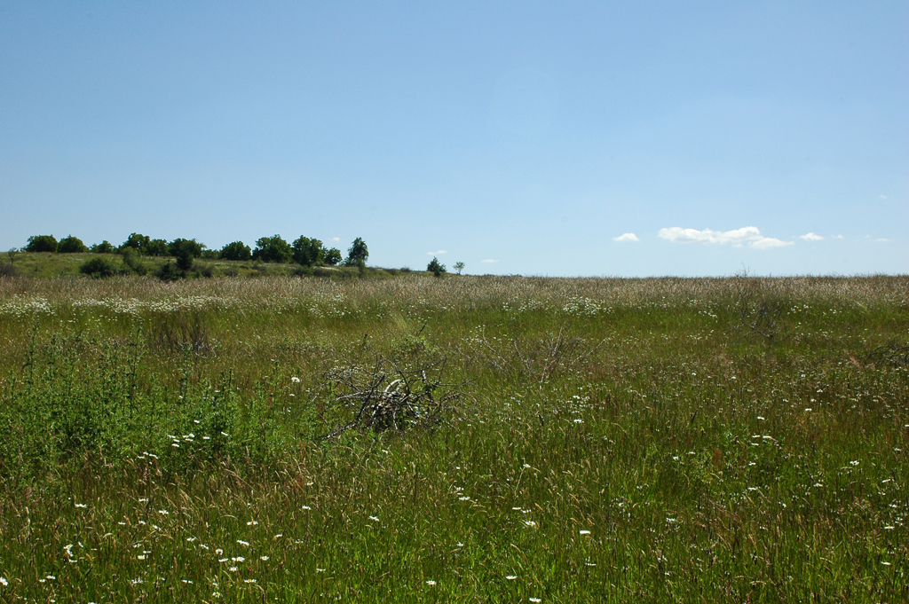 2008_June_Powell_Butte_0311