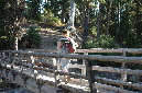 2009_0923_Mt_Hood_Hike0015