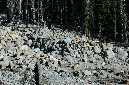 2009_0923_Mt_Hood_Hike0041