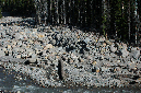 2009_0923_Mt_Hood_Hike0042
