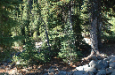 2009_0923_Mt_Hood_Hike0067