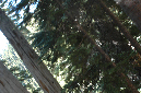 2009_0923_Mt_Hood_Hike0068