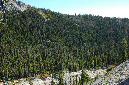 2009_0923_Mt_Hood_Hike0089