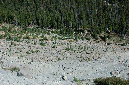 2009_0923_Mt_Hood_Hike0090