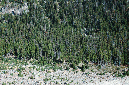 2009_0923_Mt_Hood_Hike0091