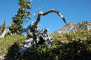 2009_0923_Mt_Hood_Hike0111