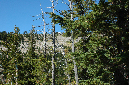 2009_0923_Mt_Hood_Hike0119