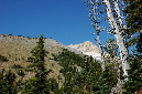 2009_0923_Mt_Hood_Hike0124