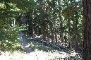 2009_0923_Mt_Hood_Hike0131