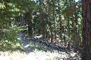 2009_0923_Mt_Hood_Hike0132