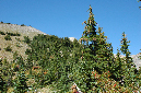 2009_0923_Mt_Hood_Hike0149