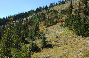 2009_0923_Mt_Hood_Hike0152