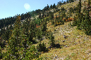 2009_0923_Mt_Hood_Hike0153
